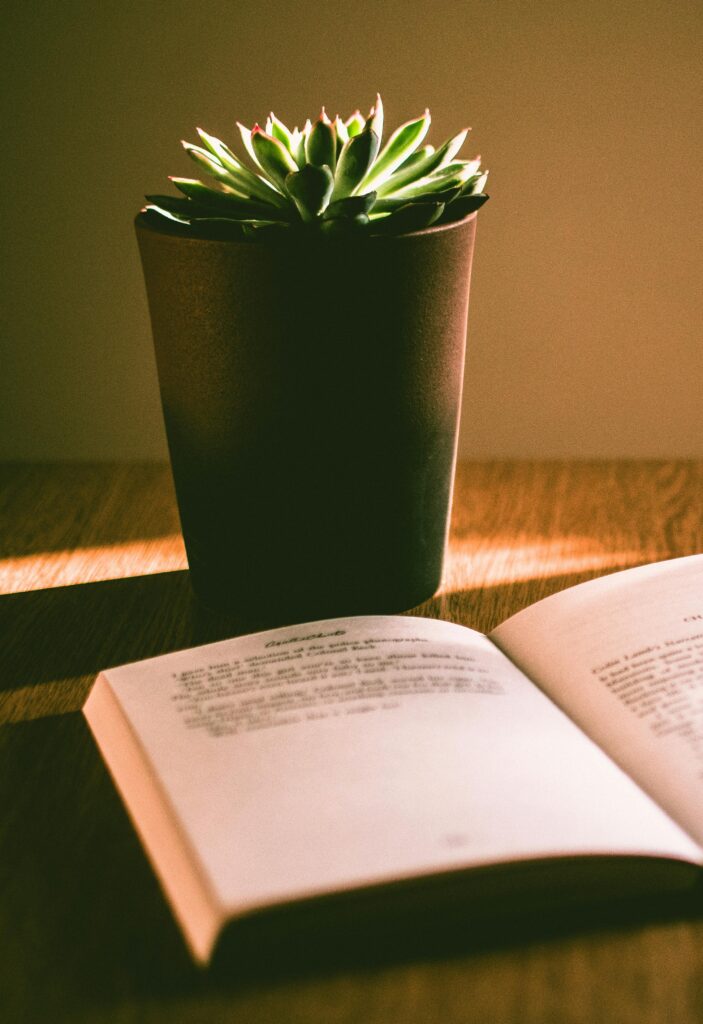 pexels-photo-1036372-1036372 A sunlit scene highlighting a succulent plant and an open book on a wooden table.
