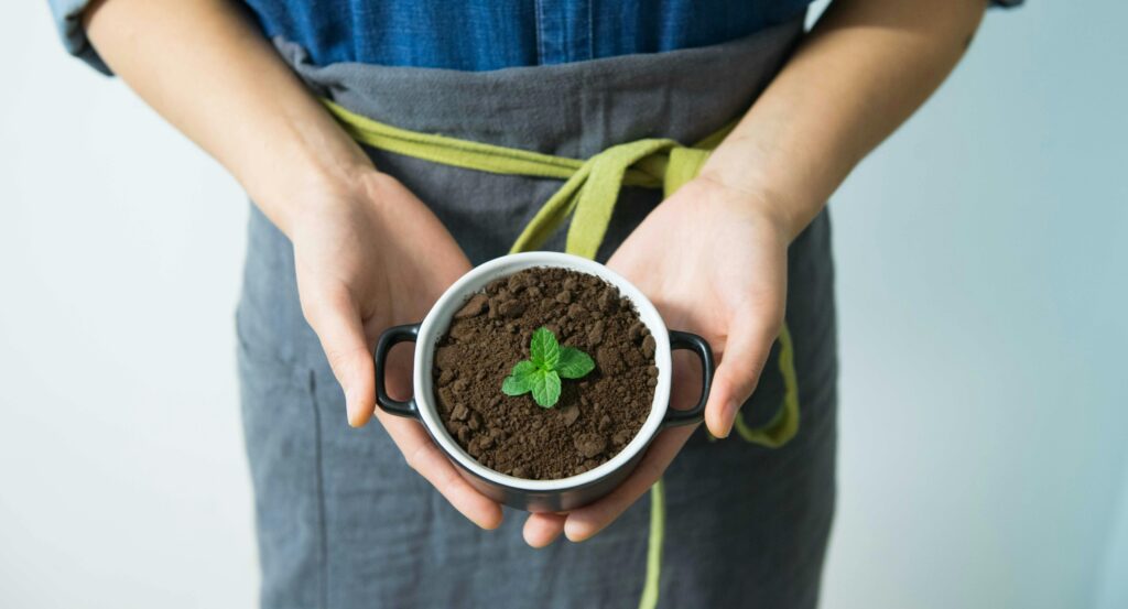 pexels-photo-421999-421999 Close-up of hands holding a pot with soil and a young mint plant in growth.